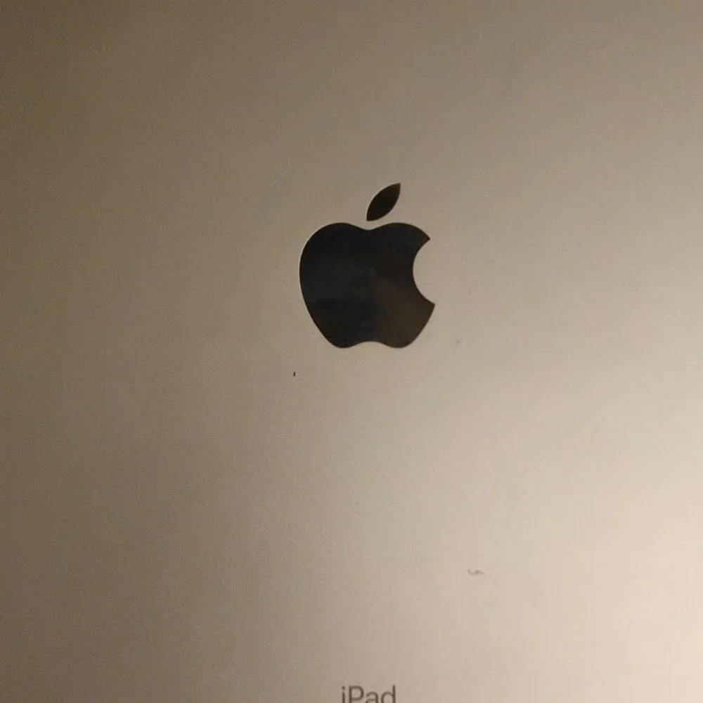 Apple iPad with rotating case bundled